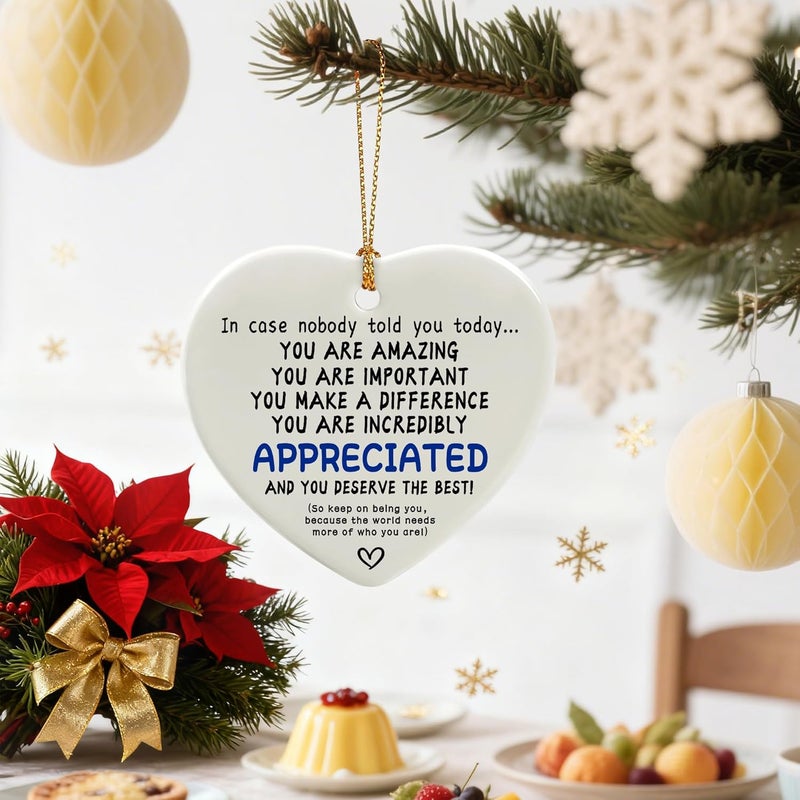 Jocidea in Case Nobody Told You Today: You are Amazing, Important & Make a Difference - Affirmations Sign | Office Gift, Appreciation Gifts, Thank You Gifts, Going Away, Retirement Gift | Christmas Ornament - Image 5